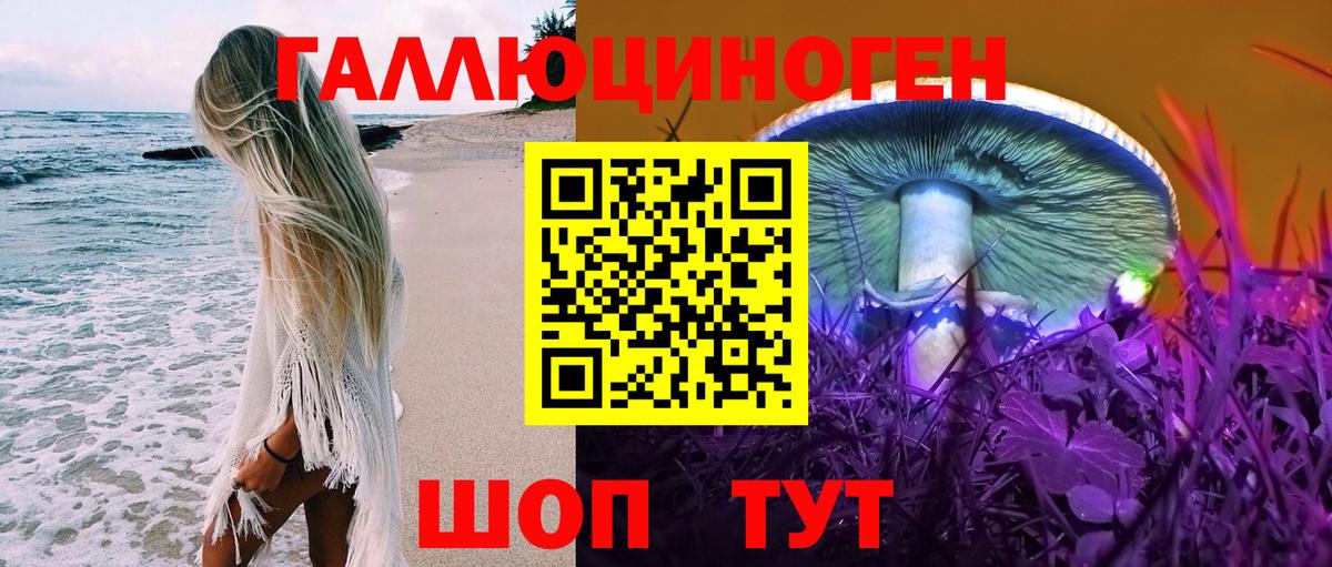 Галлюциногенные грибы Psilocybe  Вход с VPN  Галлюциногенные грибы MAGIC MUSHROOMS  Ефремов 